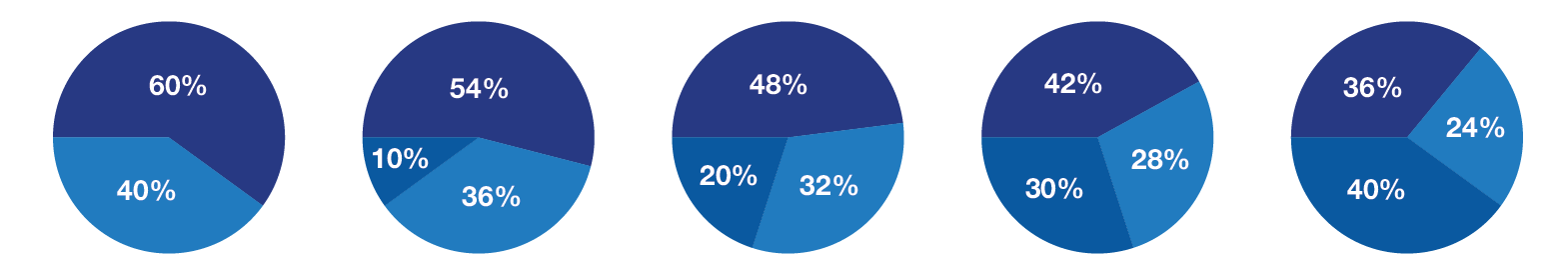 Five pie charts showing increasing allocations to a Balanced Risk strategy